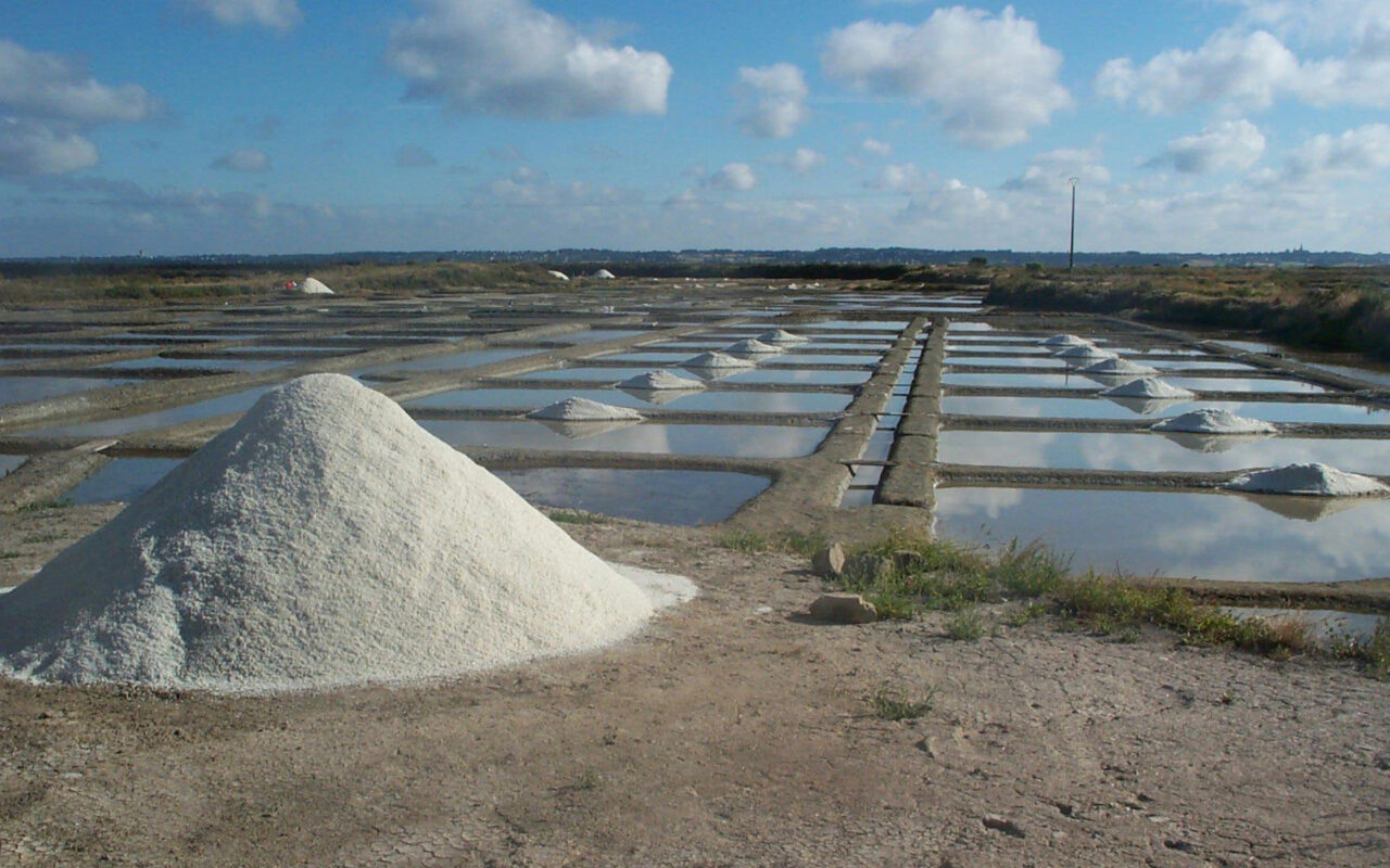 visite de saline - Le Natursel - Marais salants de Guérande