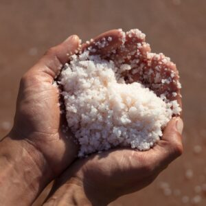 visite dégustation - sel de guerande coeur - Le Natursel