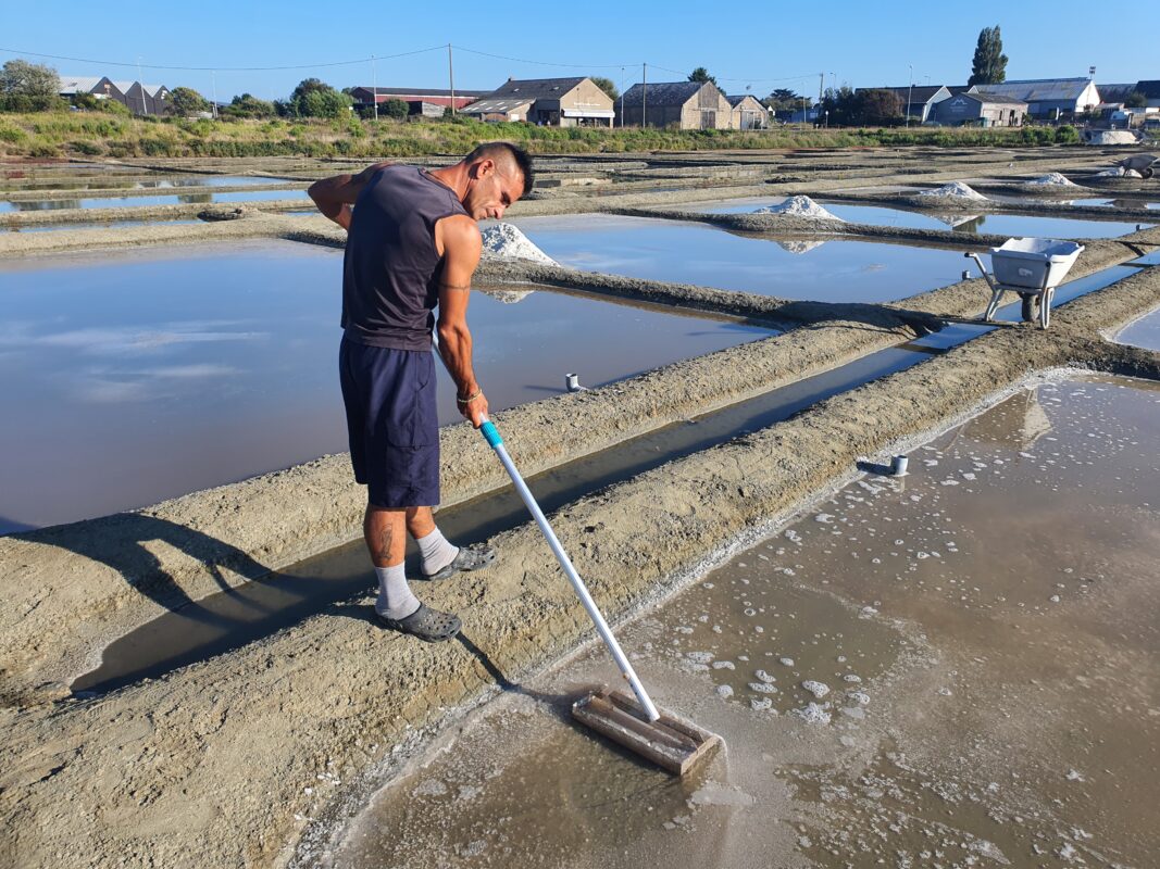 Fleur de sel de Guérande artisanale – Sel naturel récolté à la main