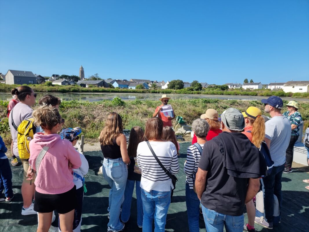 Le Natursel - visite guidée dans les marais salants de guerande